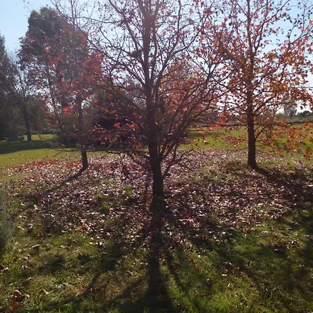 Jardin Entropico Villa Chascomus Exterior photo