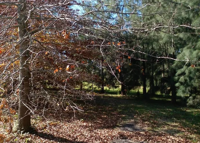 Jardin Entropico