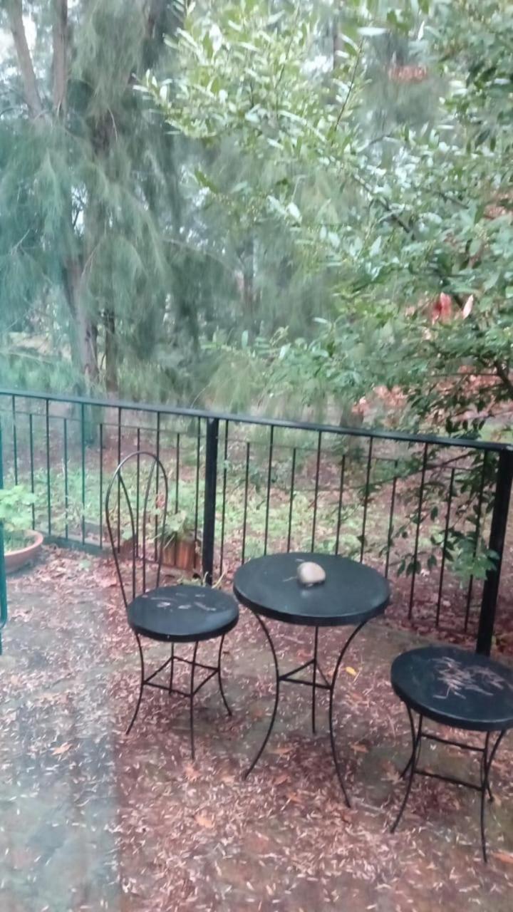 Jardin Entropico *