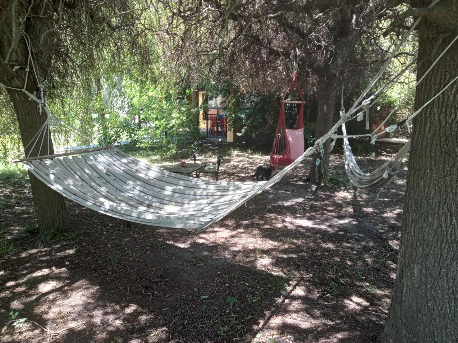 Jardin Entropico Chascomus