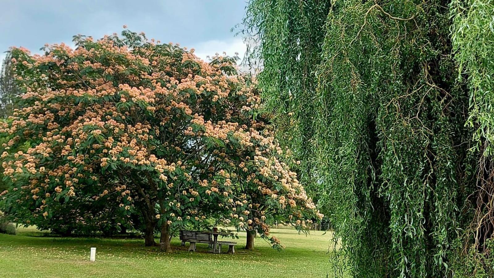 Jardin Entropico Chascomus