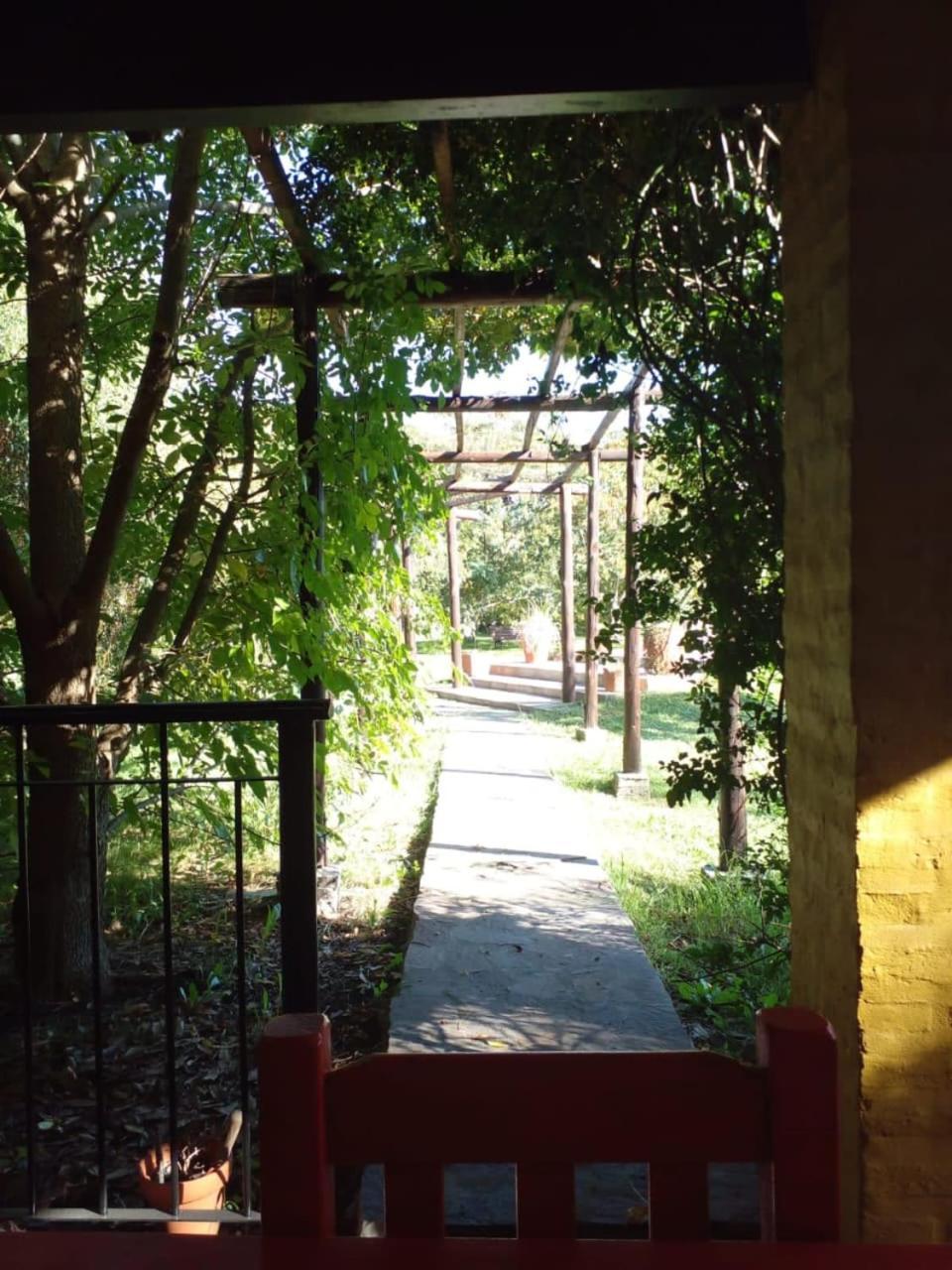 Jardin Entropico * Chascomus