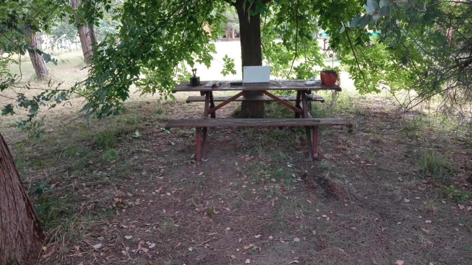 Jardin Entropico * Chascomus