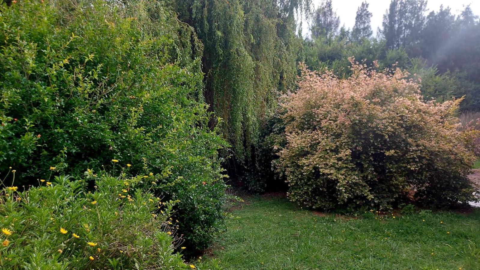 Jardin Entropico
