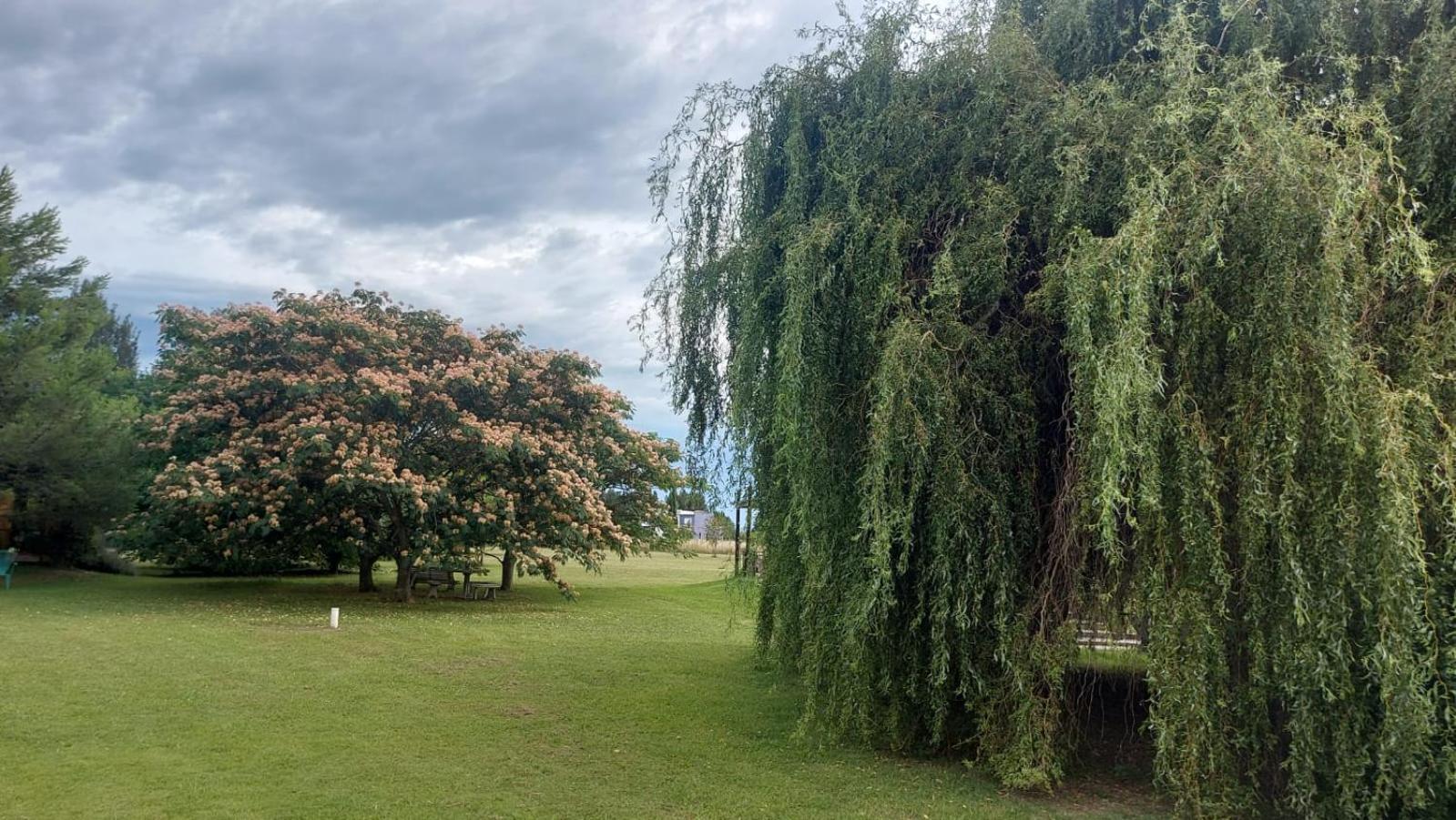Jardin Entropico * Chascomus